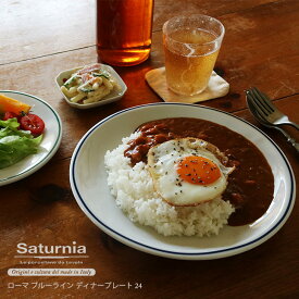 ＼再入荷／Saturnia サタルニア ローマ ブルーライン ディナー プレート 24｜食器 フラット プレート 平皿 キッチン用品 イタリア製 テーブルウェア ライン 24cm パスタ カレー 磁器 おしゃれ 料理 映える ZAKKAWORKS ＼25日楽天カード利用でP5倍／