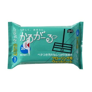 ()(܂ƂߔEP[X̔)RY |pi 邪[ t[OEFbgV[gi20ji50Zbgj/ RY