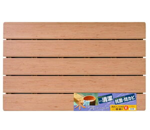 Ĉ Ĉ  ؖ E 50×80cmi1j/ I[G