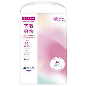 Aeg pc u GKgsNx[W M 2񕪋zi24j/ 剤