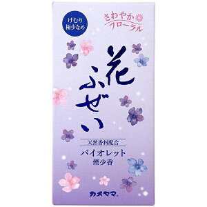 J} Ԃӂ oCIbg i100gj/ J}