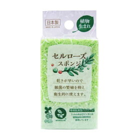 (送料無料)(まとめ買い・ケース販売)植物生まれ セルローズ キッチンスポンジ（1個入）グリーン（240個セット）/ ワイズ