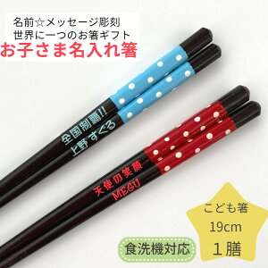 hbg 19cm w V j 10  a v[g j̎q   Ԃ ǂ ̎q O  l[  Ƒ  킢  qǂ q