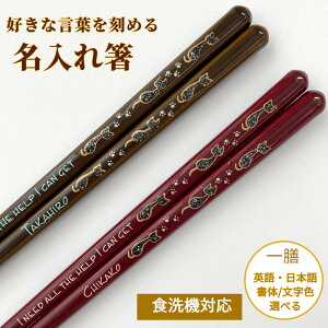  L 23cm 21cm V j j   a O v[g lR L O    AE 蕨 Ƒ aj ސE  킢 j V  ˂