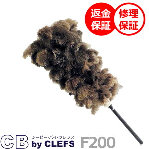 ō I[Xgb`т΂CBiV[r[j F200 // уo^L //