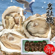 生牡蠣 岩牡蠣 3kg［9-11個入］天然 殻付き生カキ 鳥取県産 いわがき なつき 生食 焼き牡蠣 カキフライ …