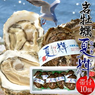 生牡蠣 特大岩牡蠣 夏輝 10個 天然 殻付き生カキ［ブランド認定帯付き］鳥取県産 いわがき なつき 生食用…