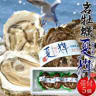 生牡蠣 特大岩牡蠣 夏輝 5個 天然 殻付き生カキ［ブランド認定帯付き］鳥取県産 いわがき なつき 生食用 …