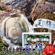 牡蠣 特大岩牡蠣 夏輝 5個 天然 殻付き生カキ［ブランド認定帯付き］鳥取県産 いわがき なつき 生食用 海…