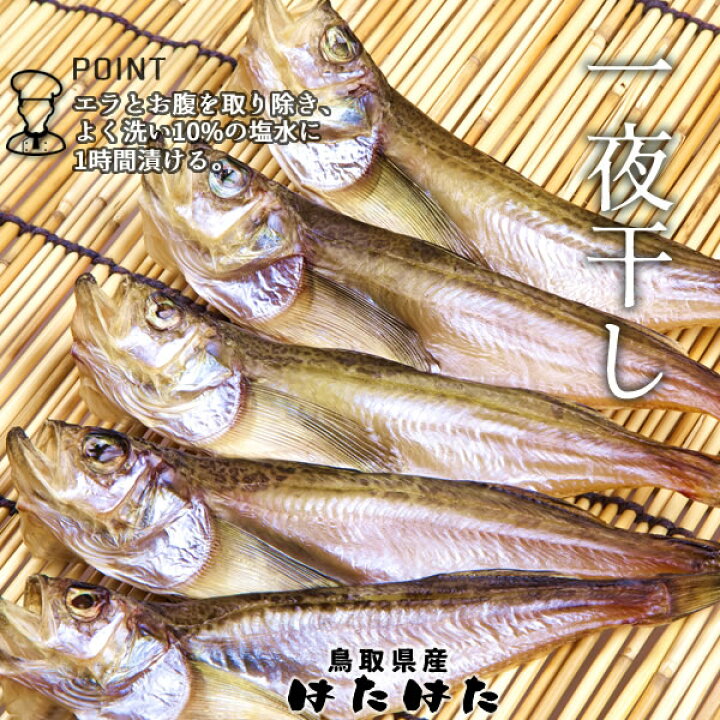 楽天市場 はたはた ハタハタ 約2kg 45 50匹 生 シロハタ 白はた 鮮魚 食の都 鳥取県 山陰沖産 シーズン到来 季節 加熱用 脂乗り抜群 旬の魚 鰰 自家製干物 一夜干し フライ 煮つけ 鍋物 ブリ子なし 秋田県以外 全国上位水揚量 旨味 通販 ギフト 産地直送 朝どれ 送料