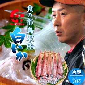 楽天市場 刺身 白イカの通販
