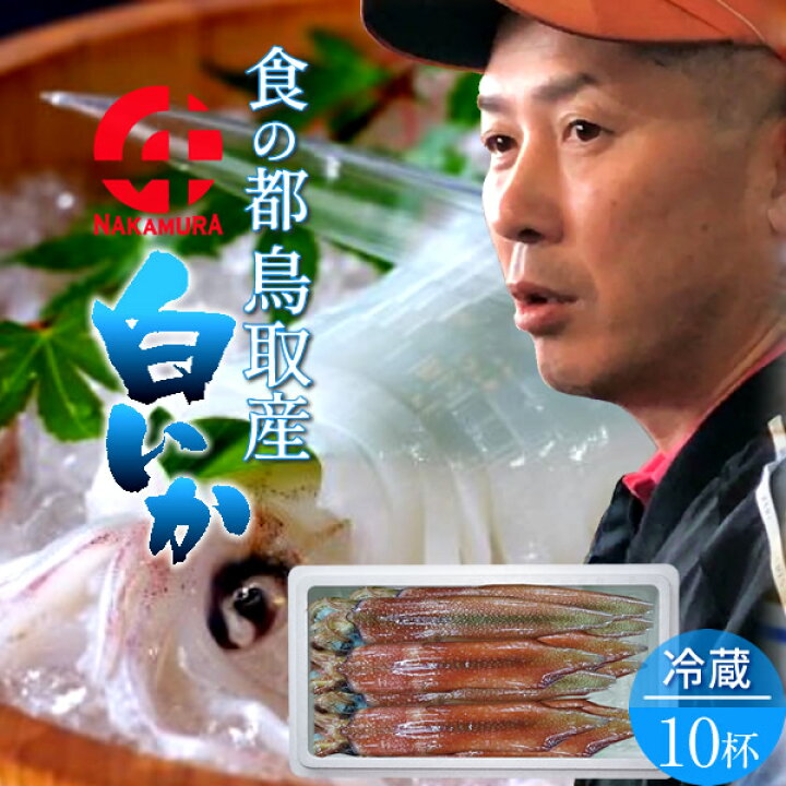 楽天市場 いか 白イカ 白いか 生 10杯 約2 4kg 鳥取県産 烏賊 剣先イカ ケンサキイカ イカの女王 q お刺身 詰め合わせ イカソーメン いかさし いか焼き 生食用 朝どれ 日本海 山陰沖 活きがいい 季節限定 ふるさと チルド 産地直送 漁港直送 送料無料 かにの駅