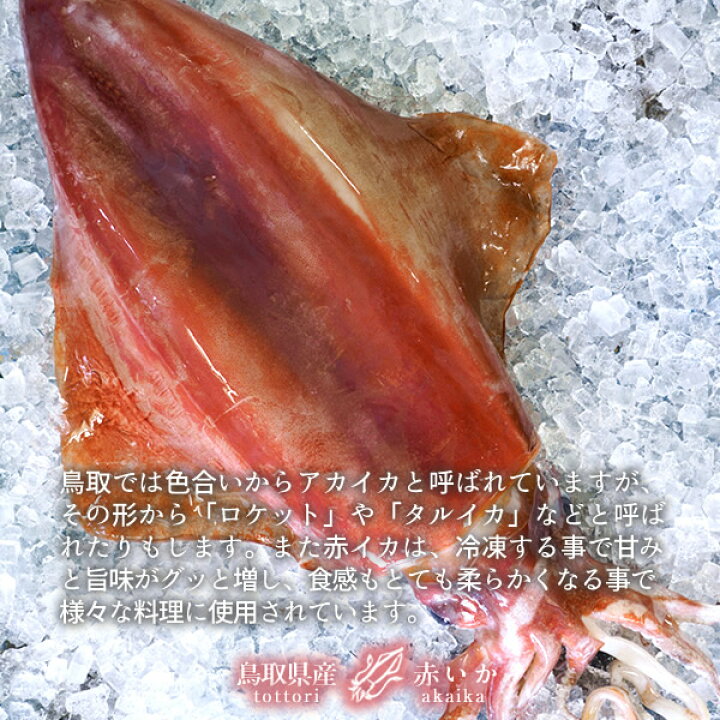 楽天市場 いか 赤イカ 約3kg 6p計18柵 肉厚 ソデイカ タルイカ 冷凍柵 食の都 鳥取県産 産地直送 赤いか 生き 烏賊 天ぷら 日本海 山陰沖 ふるさと おつまみ 新鮮 漁火 刺身 イカ いか刺 いか焼き 生食用 宅飲み 高級ギフト ギフト かにの駅さかなの駅 マルナカ 楽天市場 いか 赤イカ 約3kg 6p計18柵 肉厚 ソデイカ タルイカ 冷凍柵 食の都 鳥取県産 産地直送 赤いか 生き 烏賊 天ぷら 日本海 山陰沖 ふるさと おつまみ 新鮮 漁火 刺身 イカ いか刺 いか焼き 生食用 宅飲み 高級ギフト ギフト かにの駅さかなの駅 マルナカ