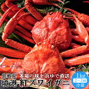 かに早割［新物9月解禁］境港 紅ズワイガニ 1kg［2-3杯］冷蔵 浜ゆで ゆでがに チルド ベニズワイガニ 日本海 鳥取県産 蟹職人の味 産地直送 早期割引 おすすめ［敬老の日 お祝いギフト］