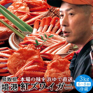 Ɂmjցn` gYCKj p3kgm6-8tn① l ł `h xjYCKj {C 挧Y IEl̖ Yn ߁mH̖o ӂ邳ƃMtgn