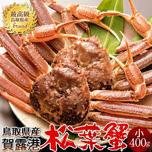 tKjm VntI 400g×2Zbg Kj I tKj tI 挧Y Yn uh }coKj YCKjmH̖o ӂ邳ƃMtgn