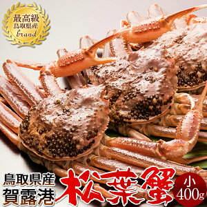 tKjm VntI 400g×3Zbg Kj I tKj tI 挧Y Yn uh }coKj YCKjmH̖o ӂ邳ƃMtgn