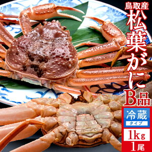 tKjm VntI 󂠂mBinX1kg Kj I tKj tI 挧Y Yn }coKj 킯 YCKjmH̖o ӂ邳ƃMtgn