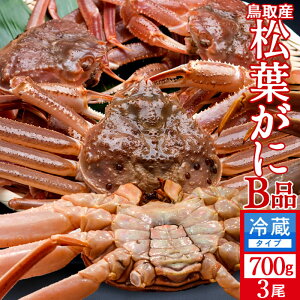 tKjm VntI 󂠂mBin700g×3Zbg Kj I tKj tI 挧Y Yn }coKj 킯 YCKjmH̖o ӂ邳ƃMtgn