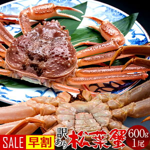 yztKjm11V̉ցntI 󂠂mBin600g Kj I tI 挧Y ʔ̒ }coKj 킯 YCKjmV\  Z[n
