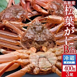 tKjm VntI 󂠂mBin400g×3Zbg Kj I tKj tI 挧Y I` }coKj 킯 YCKjmH̖o ӂ邳ƃMtgn