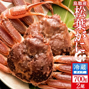 tKj ^Otm VntI 700g×2Zbg Kj I tKj tI 挧Y Yn uh^Ot}coKj YCKjmH̖o ӂ邳ƃMtgn