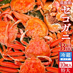 Im VnI 󂠂mBin2kgi10jl  ZRKj tĨX ł 挧Y ʔ Yn  ZRKj  eI ߁mH̖o 