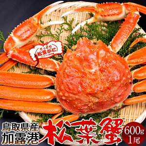 tKj ^Otm VntI 600g l tI ł 挧Y Yn uh^Ot}coKj YCKjmH̖o ӂ邳ƃMtgn