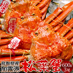 tKj ^Otm VntI 600g×3Zbg l tI ł 挧Y Yn uh^Ot}coKj YCKjmH̖o ӂ邳ƃMtgn