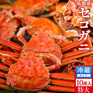 Im VnI 2kgi10jl  ZRKj tĨX ł 挧Y ʔ Yn  ZRKj  eI ߁mH̖o ӂ邳ƃMt