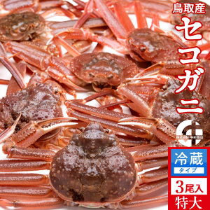 Im VnI 600gi3jKj  ZRKj I tĨX 挧Y ʔ Yn  ZRKj  eI ߁mH̖o ӂ邳ƃMtg