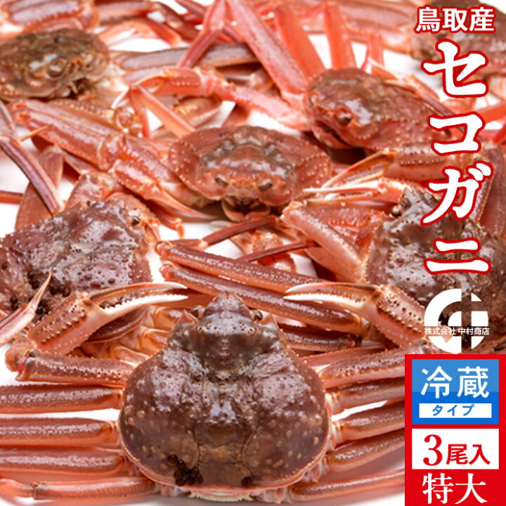 楽天市場 香箱がに セイコガニ 新物 かに セコガニ 特大600g 3尾入 活ガニ 生き蟹 活松葉ガニ 松葉蟹のメス 鳥取県産 通販 産地直送 せこ蟹 せいこがに マツバガニ 親蟹 おすすめ お歳暮 ギフト かにの駅さかなの駅 マルナカ