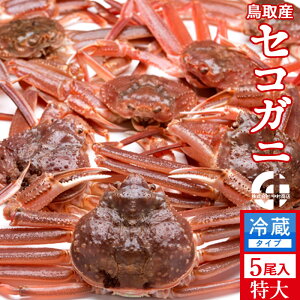 Im VnI 1kgi5jKj  ZRKj I tĨX 挧Y ʔ Yn  ZRKj  eI ߁mH̖o ӂ邳ƃMtgn