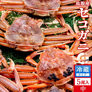 Im VnI 650gi5jKj  ZRKj I tĨX 挧Y ʔ Yn  ZRKj  eI ߁mH̖o ӂ邳ƃMtg