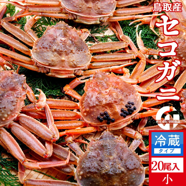 楽天市場 香箱がに セイコガニ 新物 かに セコガニ 小2kg 尾入 活ガニ 生き蟹 活松葉ガニ 松葉蟹のメス 鳥取県産 通販 産地直送 せこ蟹 せいこがに マツバガニ 親蟹 おすすめ お歳暮 ギフト かにの駅さかなの駅 マルナカ