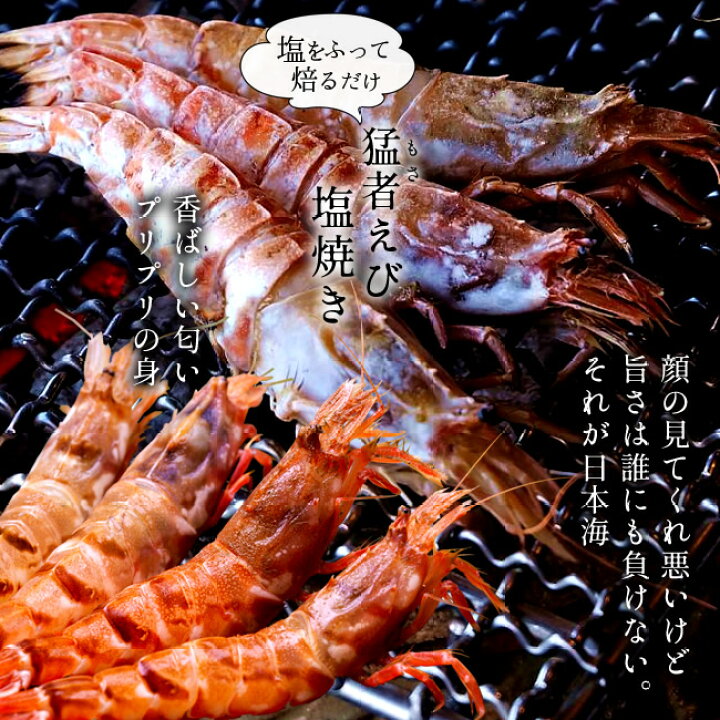 楽天市場 モサエビ 生 刺身用 トロ猛者えび 500g 約 25尾 鳥取県産 幻のえび 日本海 旨味が強い 海老 甘エビ以上の甘すぎる旨み ガスエビ クロザコエビ 送料無料 産地直送 ご当地 おすすめ 通販 ギフト かにの駅さかなの駅 マルナカ