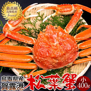 tKjm VntI 400g l tI ł 挧Y Yn uh }coKj YCKjmH̖o ӂ邳ƃMtgn