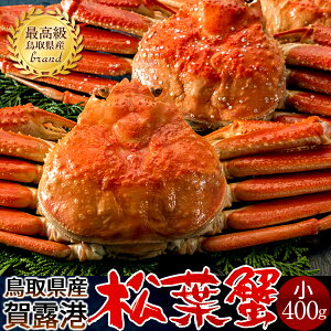 tKjm VntI 400g×2Zbg l tI ł 挧Y Yn uh }coKj YCKjmH̖o ӂ邳ƃMtgn