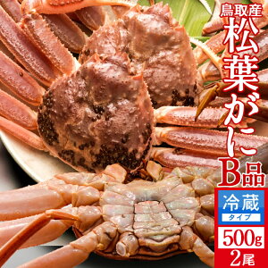 tKjm VntI 󂠂mBin500g×2Zbg Kj I tI 挧Y ʔ̒ }coKj 킯 YCKjmH̖o ӂ邳ƃMtgn