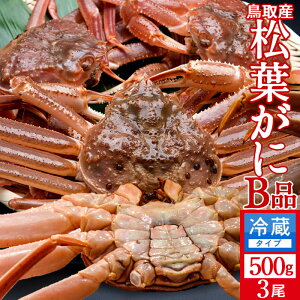 tKjm VntI 󂠂mBin500g×3Zbg Kj I tI 挧Y ʔ̒ }coKj 킯 YCKjmH̖o ӂ邳ƃMtgn