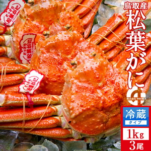 tKj ^Otm VntI X1kg×3 lŏtI ł 挧Y Yn uh^Ot}coKj YCKjmH̖o ӂ邳ƃMtgn