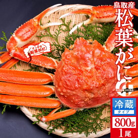 松葉ガニ タグ付き［特売］松葉蟹 特大800g 浜ゆで 松葉蟹 ゆでがに 鳥取県産 産地直送 ブランドタグ付きマツバガニ ズワイガニ［海鮮ギフト］