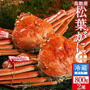 tKj ^Otm VntI 800g×2Zbg l tI ł 挧Y Yn uh^Ot}coKj YCKjmH̖o ӂ邳ƃMtgn