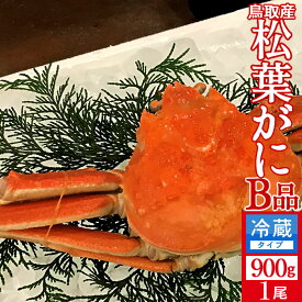 松葉ガニ［特売］松葉蟹 訳あり［B品］特大900g 浜ゆで 松葉蟹 ゆでがに 鳥取県産 産地直送 マツバガニ わけあり ズワイガニ［海鮮ギフト］