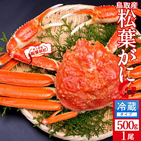 松葉ガニ タグ付き［特売］松葉蟹 中500g 浜ゆで 松葉蟹 ゆでがに 鳥取県産 産地直送 ブランドタグ付きマツバガニ ズワイガニ［海鮮ギフト］