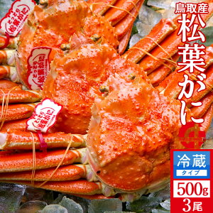 tKj ^Otm VntI 500g×3Zbg l tI ł 挧Y Yn uh^Ot}coKj YCKjmH̖o ӂ邳ƃMtgn