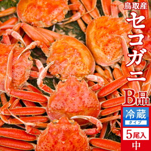 Im VnI 󂠂mBin650gi5jl  ZRKj tĨX ł 挧Y ʔ Yn  ZRKj  eI ߁mH̖o 