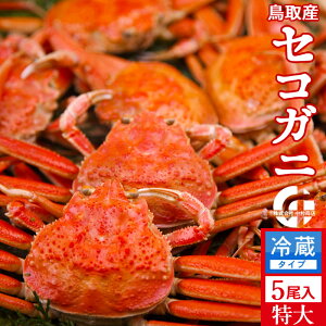 Im VnI 1kgi5jl  ZRKj tĨX ł 挧Y ʔ Yn  ZRKj  eI ߁mH̖o ӂ邳ƃMtg