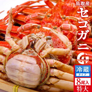 Im VnI 1.6kgi8jl  ZRKj tĨX ł 挧Y ʔ Yn  ZRKj  eI ߁mH̖o ӂ邳ƃMt