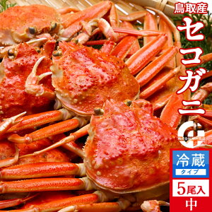 Im VnI 650gi5jl  ZRKj tĨX ł 挧Y ʔ Yn  ZRKj  eI ߁mH̖o ӂ邳ƃMt